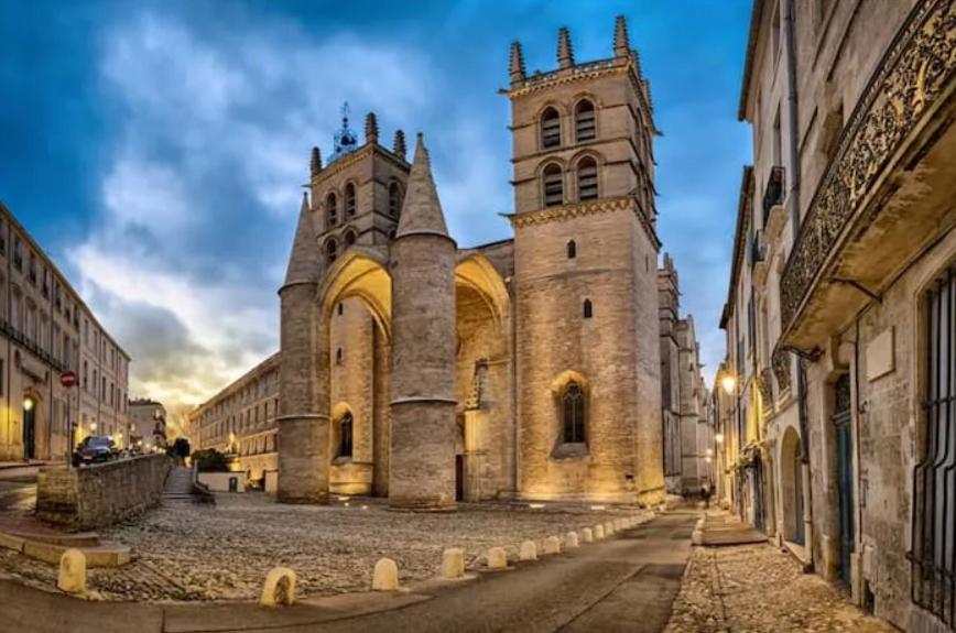 Place De La Comedie - Magnifique T2 Au Calme Montpellier Eksteriør billede