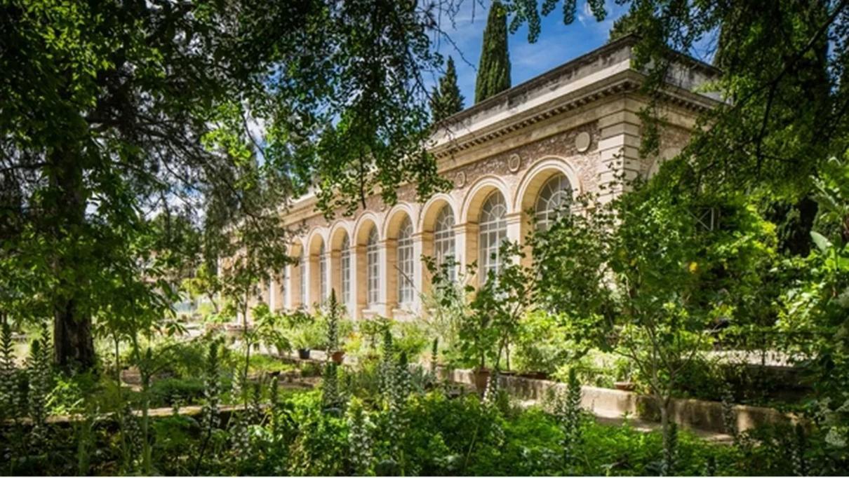 Place De La Comedie - Magnifique T2 Au Calme Montpellier Eksteriør billede